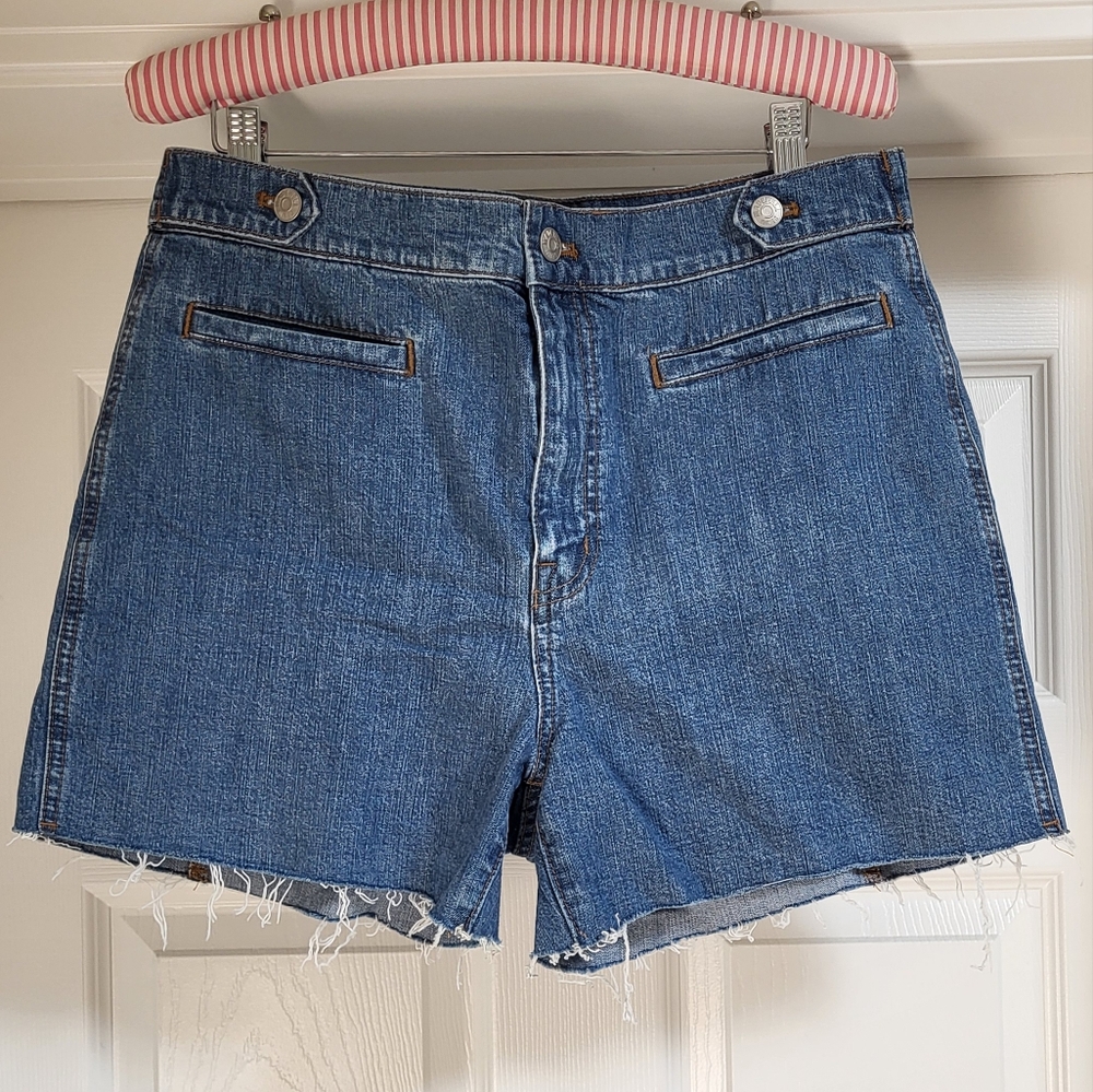 Madewell Blue Jean Denim Shorts with Frayed Hem